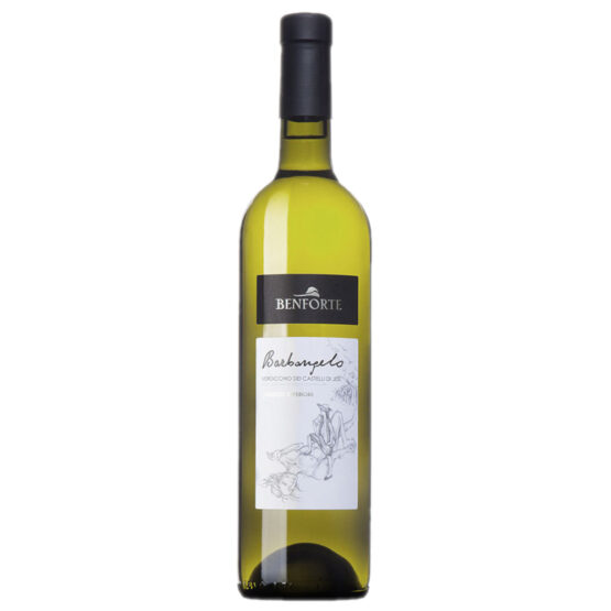 VINO BIANCO BARBANGELO VERDICCHIO CLASSICO SUPERIORE DOC 2018 - BENFORTE