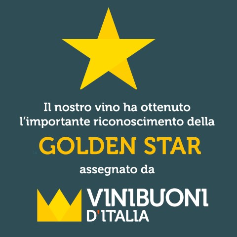 VINO BIANCO LUCIBELLO VERDICCHIO DEI CASTELLI DI JESI RISERVA DOCG 2016 - BENFORTE - immagine 2