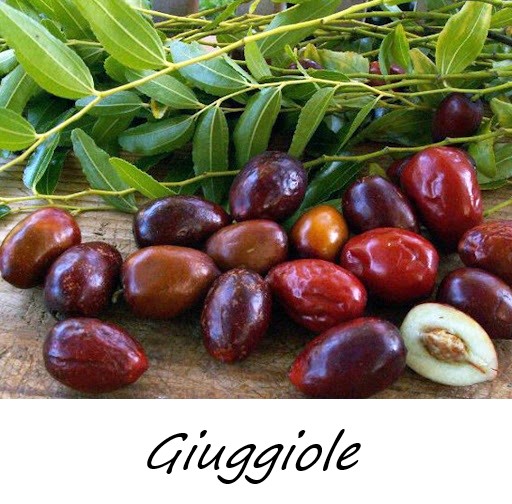 CONFETTURA DI GIUGGIOLE IN VETRO 220G - SIGI - immagine 2