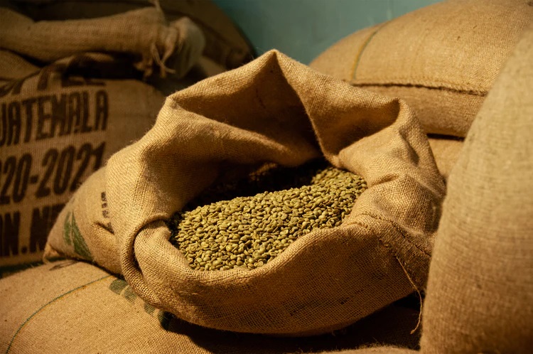 JANUS CAFFE’ " DECISO " CIALDE ESE FILTRO-CARTA - immagine 3