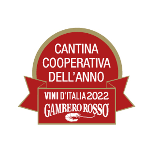Verdicchio di Matelica Riserva Cambrugiano DOCG RISERVA - immagine 3