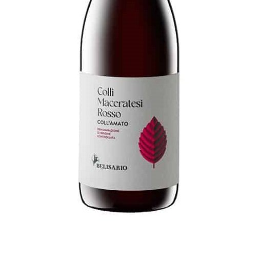 BELISARIO "Coll'Amato" Colli Maceratesi Rosso DOC 2023 - immagine 2